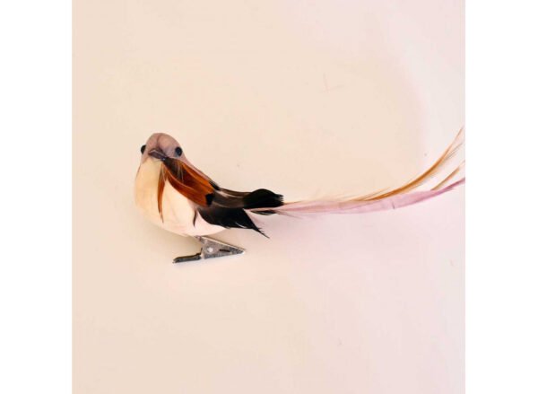 Fugl RoseBrun mix m klemme 13 cm - Image 3